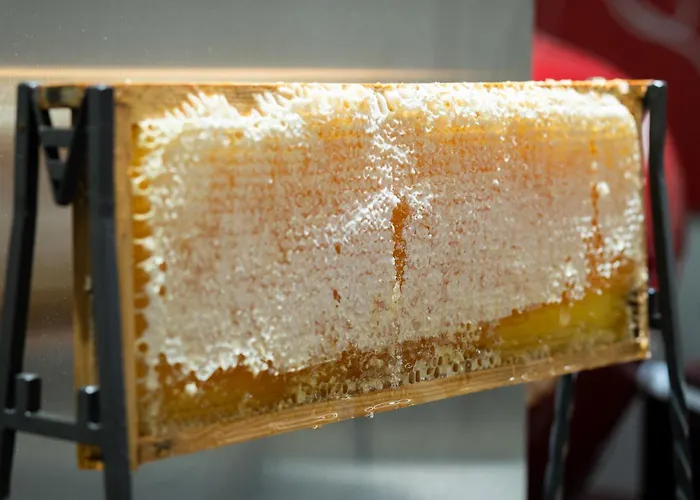 Ciutadella Hotel Barcellona